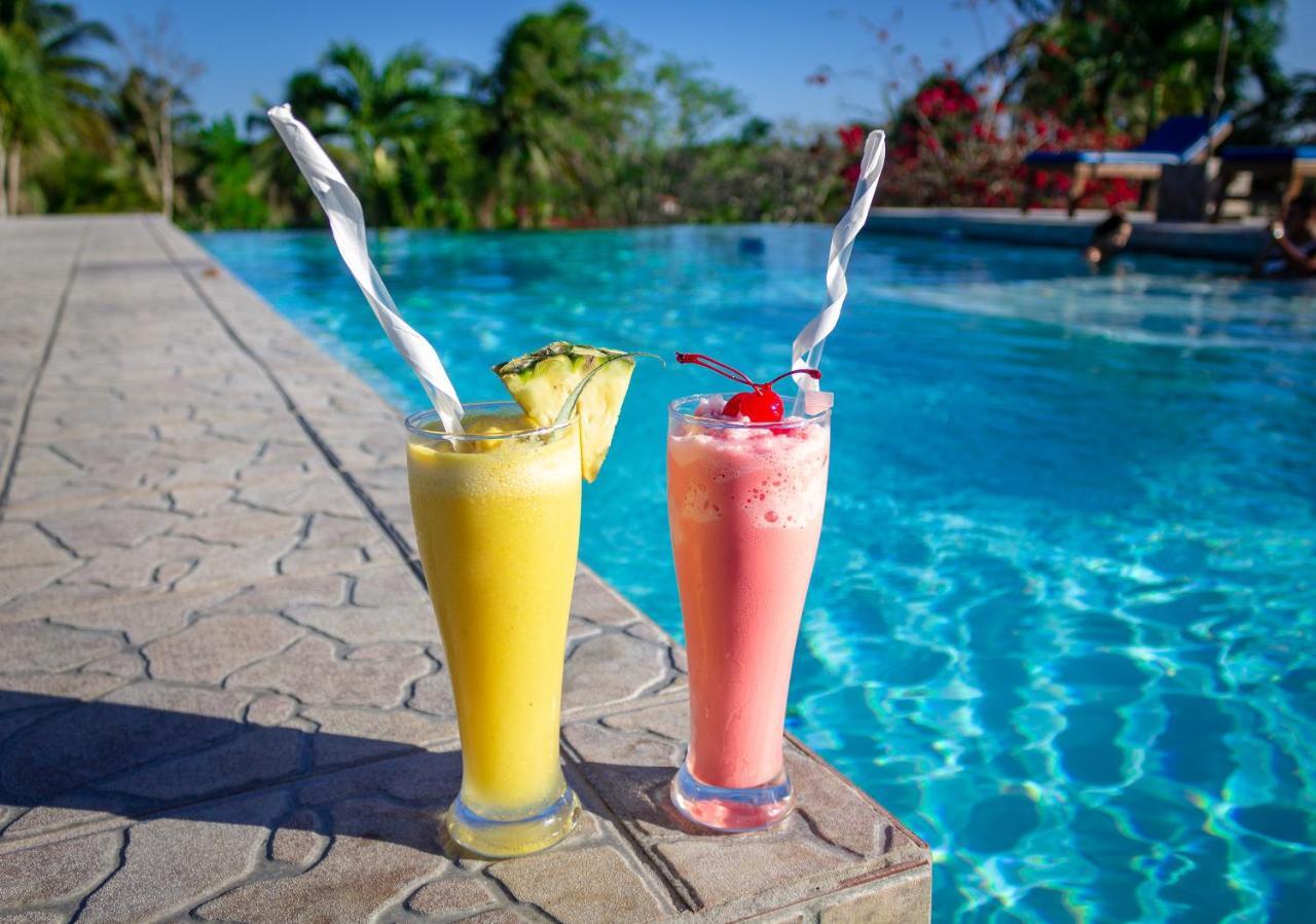 Cassia Hill Resort San Ignacio Eksteriør billede